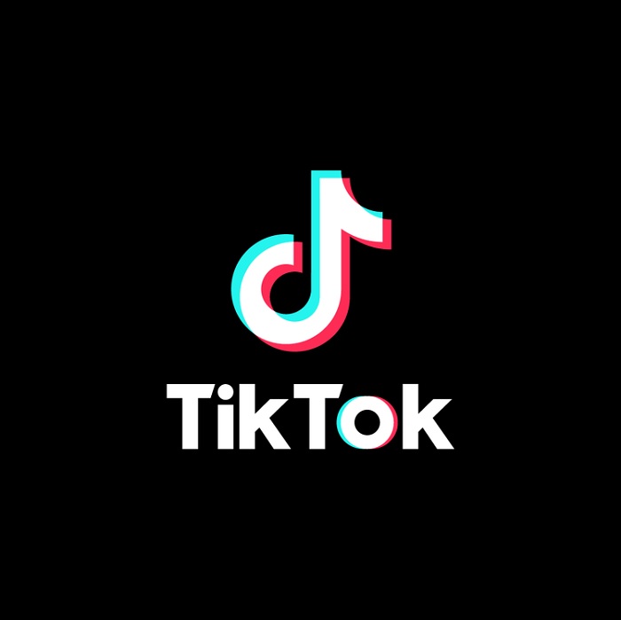 How to go viral on TikTok in 2023 Introduction If you're a content creator on TikTok, then you know how difficult it can be to break through the noise and get noticed on the platform. With millions of users uploading new videos every day, it's easy for your content to get lost in the shuffle. That's where going viral comes in – when a TikTok video becomes extremely popular, it can be seen by millions of users, leading to increased visibility and potentially even fame for the creator. But how do you make your content go viral on TikTok? While there's no surefire way to guarantee that your content will become a hit, there are some strategies you can use to increase your chances of success. In this blog post, we'll provide you with some tips for going viral on TikTok, so you can get the exposure and engagement you deserve for your hard work. Identify your target audience The first step to going viral on TikTok is to identify your target audience. In order to create content that resonates with your audience and has a higher chance of going viral, you need to understand who they are and what they like. One way to do this is to consider the demographics of your current followers and the types of content they tend to engage with. Do they tend to be a certain age group? Do they have specific interests or hobbies? Understanding these factors can help you create content that speaks to your audience and resonates with them. It's also important to consider the type of content that performs well on TikTok. For example, comedic and entertaining videos tend to be popular on the platform, as do videos featuring catchy music or dance routines. Keep these types of content in mind as you create and plan your TikTok videos. Create engaging content Once you have a good understanding of your target audience, it's time to focus on creating engaging content. High-quality, visually appealing content is essential for going viral on TikTok – if your videos are poorly shot or uninteresting, it's unlikely that they'll gain much traction. One way to create engaging content is to come up with creative and unique ideas for your TikTok videos. Think outside the box and try to come up with concepts that haven't been done before, or put your own spin on popular TikTok trends. The more original and interesting your content is, the more likely it is to catch people's attention and go viral. It's also important to pay attention to the details of your videos. Make sure the lighting is good, the sound quality is high, and the editing is smooth. These little things can make a big difference in the overall quality of your content. Use relevant hashtags and participate in TikTok challenges Hashtags are a powerful tool for getting your content discovered on TikTok. By including relevant hashtags in your videos, you can make it easier for people to find and engage with your content. To find the best hashtags for your content, do some research and see which hashtags are being used by popular TikTok users in your niche. You can also try using a hashtag generator tool to find relevant hashtags for your content. In addition to using hashtags, another way to increase the visibility of your content is to participate in popular TikTok challenges and trends. These challenges often involve creating a video based on a specific theme or using a particular song or piece of music, and they can be a great way to get your content in front of a wider audience. Utilize TikTok's features and tools TikTok has a number of features and tools that can help you create engaging content and increase the chances of your videos going viral. One feature that can be particularly useful is the music feature, which allows you to add music to your videos from TikTok's extensive library. Adding music to your videos can make them more entertaining and catchy, which can help increase their chances of going viral. Other features that can be helpful include filters, which allow you to enhance the visual appeal of your videos, and special effects, which can add an extra layer of creativity and uniqueness to your content. TikTok also offers a variety of tools that can help you create more professional-looking content. For example, the countdown timer tool allows you to set a countdown for your video, which can be useful for creating anticipation or suspense. The green screen effect, on the other hand, allows you to superimpose yourself or your subjects onto different backgrounds, which can add an extra level of creativity to your content. Collaborate with other TikTok users Another way to increase the visibility of your content and potentially go viral on TikTok is to collaborate with other users on the platform. Collaborating with other TikTok users and influencers can help expose your content to a wider audience and potentially lead to more engagement and followers. To find potential collaboration partners, consider reaching out to users in your niche who have a similar style or target audience to you. You can also try using hashtags or joining TikTok groups or communities related to your niche to find other users who might be interested in collaborating. Keep in mind that collaboration is a two-way street – it's important to offer something of value to your potential partners, whether it's a unique perspective or a particular skill or talent. Promote your TikTok content on other social media platforms In addition to promoting your TikTok content on the platform itself, it can also be helpful to promote it on other social media platforms. This can help increase the visibility of your content and bring in new followers from other platforms. To effectively promote your TikTok content on other platforms, consider posting teaser clips or behind-the-scenes glimpses of your content. You can also consider running paid promotions on platforms like Facebook or Instagram to reach a wider audience. It's also a good idea to use relevant hashtags and engage with other users on these platforms to increase the chances of your content being seen. Conclusion Going viral on TikTok can be a challenging task, but with the right strategies and techniques, it's certainly possible. By identifying your target audience, creating engaging content, utilizing TikTok's features and tools, collaborating with other users, and promoting your content on other platforms, you can increase the chances of your content becoming a hit on the platform. So put these tips into action and start working towards making your TikTok content go viral!