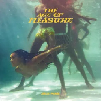 janelle monae the age of pleasure album cover art