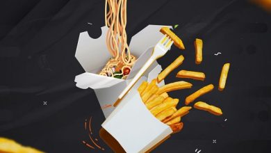 dj ab noodles vs fries cover art download